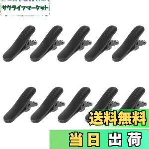 yzXSAJU CzNbv 10Zbg P[uNbv Cz܂Ȃ wbhz}CNNbv (10)