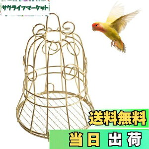 yzTVETE  a o[htB[_[ 쐶tB[_[  ݂艺 t@bg{[ o[htB[_[ X v[t ^P[W ̉a щO AoRj[Ap