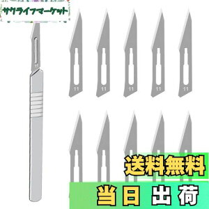 yzHƗpX nhX Yf|ޗ DIY ؍H NtgiCt u[h͌\ł AؒfA蒤AUȂǂ i 11p*1pcs+11n*10pcs j