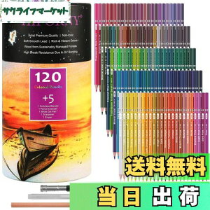 yzHIFORNY 125{̃J[yVZbgAl̓hGpA120F̃J[yVƃGNXgAA[eBXg̃\tgRAAlASҁAq̃h[COyVA[