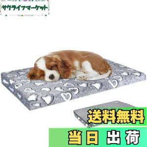 yzVANKEAN xbh ybgxbh ybg}bgX ӂӂ ^p ^p hCjO O\ @Ő􂦂 lG ʔN^Cv ƂT|[g CgO