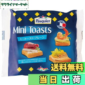 �y���������zbrioche Pasquier(�u���I�b�V���p�X�L�G) �~�j�g�[�X�g�v���[�� 80g(36������)