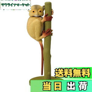 ���i�摜