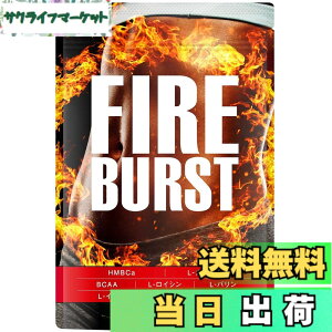 �y���������z�yFIRE BURST�z L-�J���j�`�� BCAA�z�� �T�v�� ���I�f�� 90����
