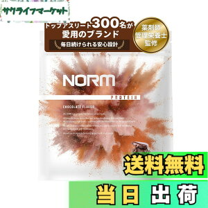 �y���������zNORM �m�[�� �z�G�C �v���e�C�� �l�H�Ö����s�g�p �`���R���[�g 1kg 300���ȏ�̃g�b�v�A�X���[�g���p WPC WHEY PROTEIN �z�G�C�v���e�C�� ��������