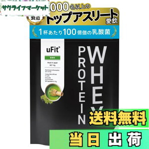�y���������z�y���{���������zuFit Whey Protein �z�G�C�v���e�C�� WPC �S�t���[�o�[�l�H�Ö����s�g�p ���� 1kg �Â��T���� �n���₷�� �A���R���Ö��� �X�e�r�A �A���`�h�[�s���O�F�� �v���A�X��