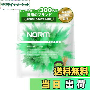 �y���������zNORM �m�[�� �z�G�C �v���e�C�� �l�H�Ö����s�g�p �������e 1kg �������� 300���ȏ�̃g�b�v�A�X���[�g���p WPC WHEY PROTEIN �z�G�C�v���e�C��