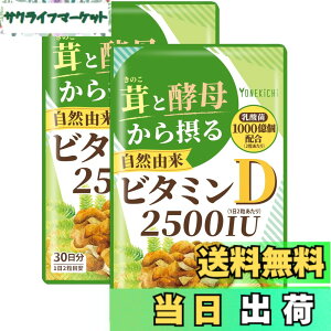 �y���������z�y���R�R�� �r�^�~��D �T�v�������g�z2500IU �L�m�R�ƍy�ꂩ��ۂ�r�^�~��D�i���� �G�����M �y��j ���_�� 1000���z�� �������� 60�� 2�܃Z�b�g