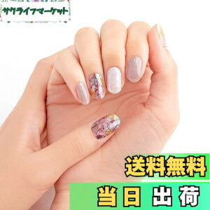 �y���������zBEAUTYAVENUE�i�r���[�e�B�[�A�x�j���[�j���C�g���v��Ȃ� �W�F���l�C���V�[�� �n���h�p 24pcs �F�F�u�����Y���`���N�H�[�c�A�T�C�Y�F2�� (x 1)