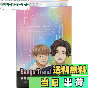 �y���������zBangs Trend Styler (�j���p�O���J�[���[) (1��)