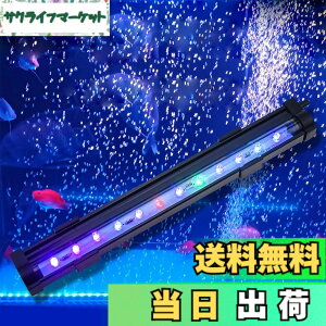 �y���������z���� ���C�g ���^ LED �C�A���C�g �A�N�A���E�����C�g �~�j �������C�g �M�ы����C�g ������ RGB �����ِ����p�Ɩ� ���� �_�f�⋋ �Ϗ܋� �M�ы����� �����琬 IP68�h�� ���P�x ��