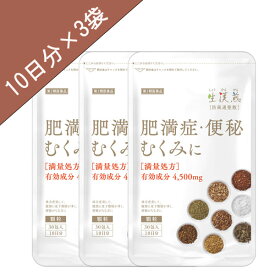 《シリーズ累計2億包突破》【第2類医薬品】生漢煎「防風通聖散」(30包入り：10日分×3袋セット）※満量処方［漢方 肥満症 便秘 むくみ のぼせ 顆粒 ダイエット セルフメディケーション］