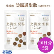 《シリーズ累計2億包突破》【第2類医薬品】生漢煎「防風通聖散」(30包入 10日分×2袋）※満量処方［漢方 …