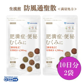 《シリーズ累計2億包突破》【第2類医薬品】生漢煎「防風通聖散」(30包入 10日分×2袋）※満量処方［漢方 肥満症 便秘 むくみ のぼせ 顆粒 ダイエット セルフメディケーション］