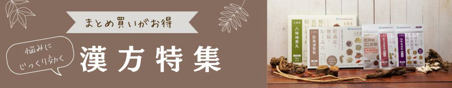 生漢煎　漢方特集