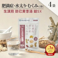 《シリーズ累計479万個突破》【第2類医薬品】生漢煎 防已黄耆湯 錠SX 180錠入（15日分×4袋セット）漢方 …
