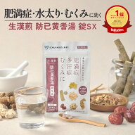 《シリーズ累計479万個突破》【第2類医薬品】 生漢煎 防已黄耆湯 錠SX 180錠入（15日分/30日分） 漢方 む…