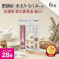 ＼マラソン期間 最大P28倍＆1万円以上5%OFFクーポン／《シリーズ累計479万個突破》【第2類医薬品】生漢煎…
