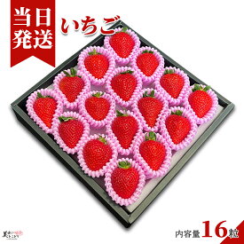 [送料無料][最強配送][あす楽] 美味いとこどり 幸せいちご 16粒 和歌山県産 紀の幸 ギフトボックス 高級 いちご 等級S ※野菜ソムリエ監修