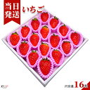[送料無料][最強配送][あす楽] 美味いとこどり 幸せいちご 16粒 和歌山県産 紀の幸 ギフトボックス 高級 いちご 等級S ※野菜ソムリエ監修