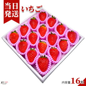 [送料無料][最強配送][あす楽] 美味いとこどり 幸せいちご 16粒 和歌山県産 紀の幸 ギフトボックス 高級 いちご 等級S ※野菜ソムリエ監修