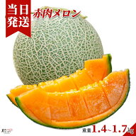 [送料無料][最強配送][あす楽] 美味いとこどり 赤肉メロン 完熟 高級 特秀A ※野菜ソムリエが選別