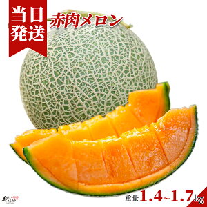 [][ŋz][y] Ƃǂ ԓ n  GA ؃\GI