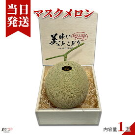 [送料無料][最強配送][あす楽] 美味いとこどり マスクメロン 木箱 完熟 高級 特秀A ※野菜ソムリエが選別 メロン ギフト 贈り物