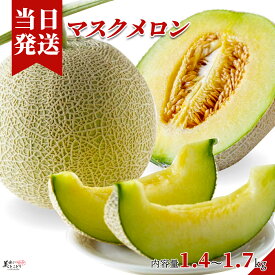 [送料無料][最強配送][あす楽] 美味いとこどり メロン 完熟 高級 特秀A ※野菜ソムリエが選別 マスクメロン