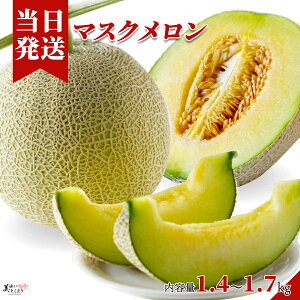 [][ŋz][y] Ƃǂ  n  GA ؃\GI }XN