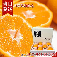 [送料無料][最強配送][あす楽] 美味いとこどり ハウスみかん 選べる内容量 ギフトBOX 和歌山県産 産地直…