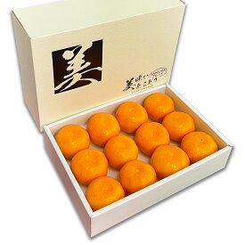 [送料無料][あす楽] 美味いとこどり ハウスみかん 12個 Mサイズ ギフトBOX 和歌山県産 産地直送 フルーツマイスターが選別