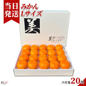 [][ŋz][y] Ƃǂ ݂ IׂTCY Iׂe a̎RY Yn ؃\GI Mtg{bNX