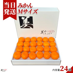 [][ŋz][y] Ƃǂ ݂ IׂTCY Iׂe a̎RY Yn ؃\GI Mtg{bNX