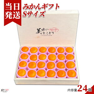 [][ŋz][y] Ƃǂ ݂ ؔ 蕨 Iׂe a̎RY Yn ؃\GI Mtg{bNX