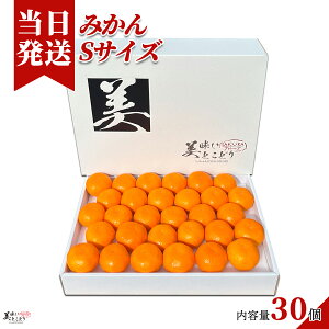 [][ŋz][y] Ƃǂ ݂ IׂTCY Iׂe a̎RY Yn ؃\GI Mtg{bNX