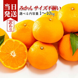 [][ŋz][y] Ƃǂ 󂠂 ݂ Iׂe TCY s SS`3L a̎RY   n Yn Â ؃\GI