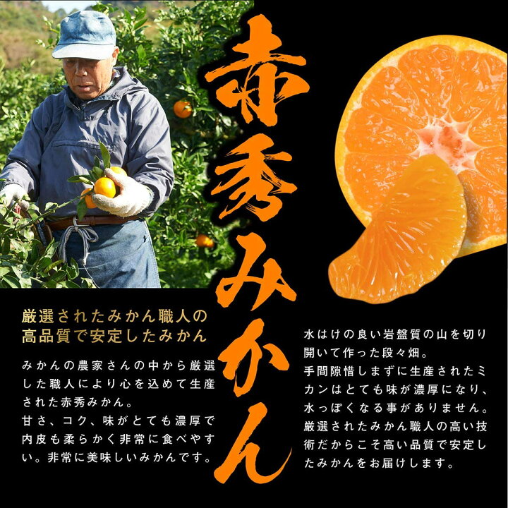 楽天市場】[送料無料][あす楽]みかん (15個 Sサイズ)和歌山県産 産地直送 フルーツマイスターが選別 : SAKURAグループ