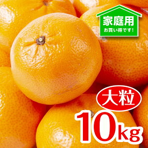 みかん 10kg 送料無料の人気商品 通販 価格比較 価格 Com