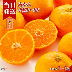 [][ŋz][y] Ƃǂ 󂠂 ݂ Iׂe S`SS a̎RY G݂ n Yn Â ؃\GI