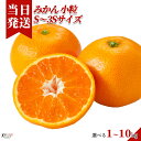 [送料無料][最強配送][あす楽] 美味いとこどり 小粒みかん S〜3S 選べる内容量 和歌山県産 子どもが喜ぶ一口サイズ 完…