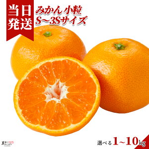 [][ŋz][y] Ƃǂ ݂ S`3S Iׂe a̎RY qǂԈTCY n Yn Â ؃\GI