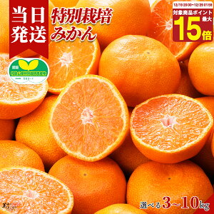 [��������][�ŋ��z��][�����y] �������Ƃ��ǂ聦���ʍ͔|���a�̎R���Y �炲�ƐH�ׂ��݂��� �I�ׂ���e�� �Y�n���� �݂��� ���ʍ͔| ��؃\�����G���I��