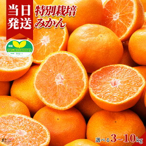 [][ŋz][y] Ƃǂ聦ʍ͔|a̎RY 炲ƐHׂ݂ Iׂe Yn ݂ ʍ͔| ؃\GI