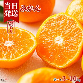 [送料無料][最強配送][あす楽] 美味いとこどり 訳あり みかん 青秀 甘酸っぱい味わい 選べる内容量 和歌山県産 完熟 産地直送 野菜ソムリエが選別