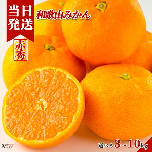 [][ŋz][y] Ƃǂ ݂ Iׂe a̎RY ԏG a̎R~J Yn ؃\GI