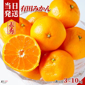 [送料無料][最強配送][あす楽] 美味いとこどり みかん 甘酸っぱい味わい 選べる内容量 和歌山県産 赤秀 有田ミカン 産地直送 野菜ソムリエが選別