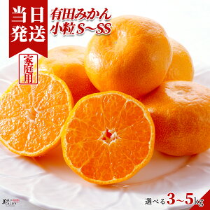 [][ŋz][y] Ƃǂ ƒp ݂ Iׂe  S`SS a̎RY G Lc~J Yn ؃\GI