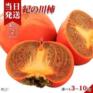 [][ŋz][y] Ƃǂ 󂠂 Im` Iׂe 햳` ƒp a̎RY Yn ` ˂Ȃ` ؃\GI