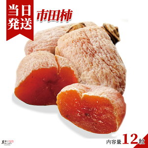 [][ŋz][y] Ƃǂ ō x sc` ` 340g 12 쌧 ݂ȂݐMBY ؃\GIi Gi